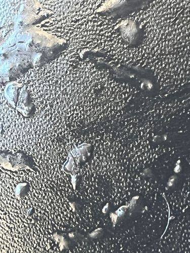 Bird Poop Mimic Spider (or Ant-mimicking Spider)