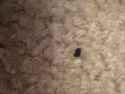 Unidentifiable Object