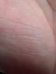 Undetermined; image too blurry to identify