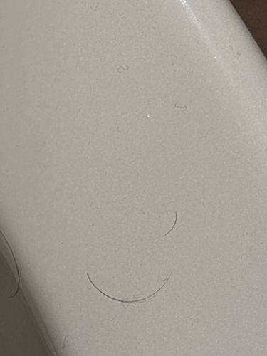 This is not an insect or a bug