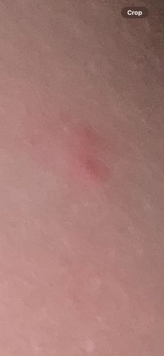 Could not identify based on image