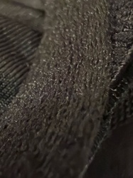No insect identified