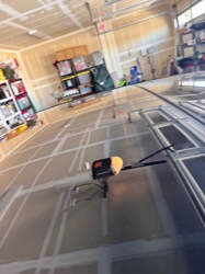 No insect or bug is visible in the image.