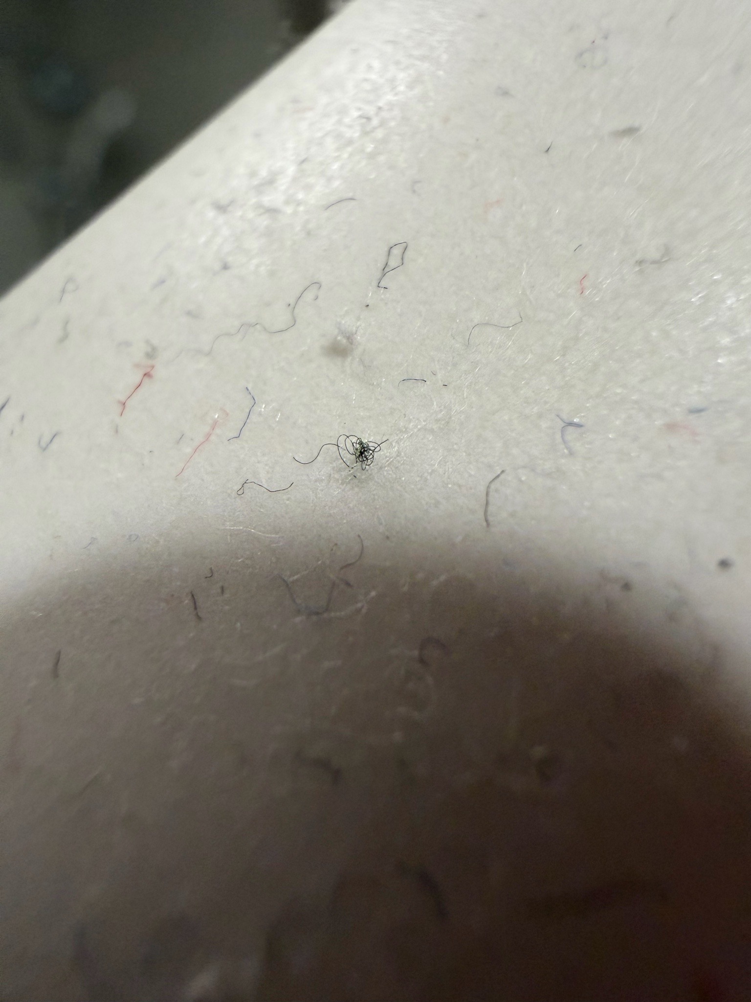Non-living debris (LINT/FIBER)