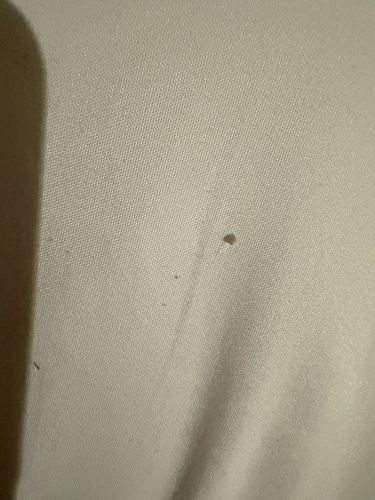 No identifiable insect