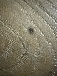 Unidentifiable Object