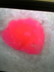 Unidentifiable Object/Unknown