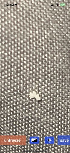 Unidentifiable Object (possibly lint or tiny insect)