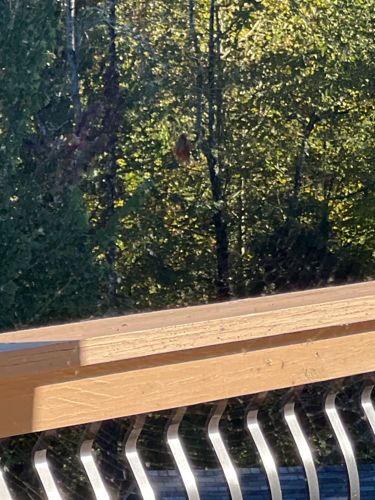 Unidentifiable Object