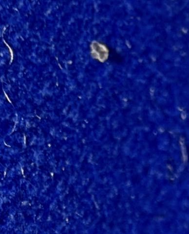 Lint, Dust Speck, or Debris