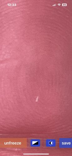 It is not possible to identify the bug from the provided image. The image is blurry and the insect is too small and indistinct to discern any identifying features.