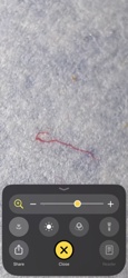 Bloodworm (Chironomid Larva)