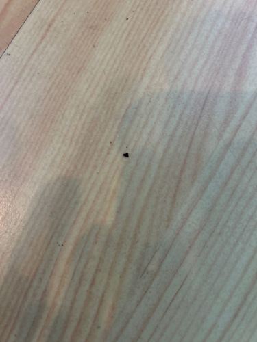 Indeterminate Speck / Debris