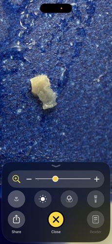 Inconclusive (Non-biological material)