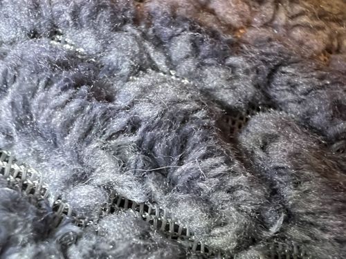 Common Clothes Moth (larva state)