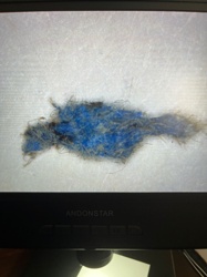 Unidentifiable Object/Lint