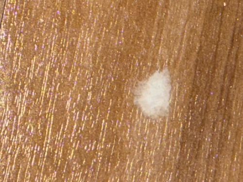 Mealybug