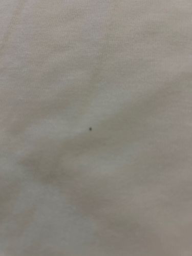 Image provided is not clear enough to identify a specific insect or bug.