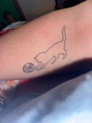 There is no bug or insect visible in this image.