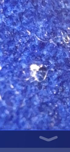 Too blurry for positive identification