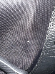 Too small/unclear to identify