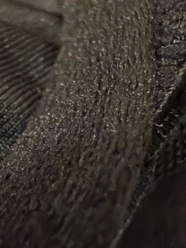 No insect identified