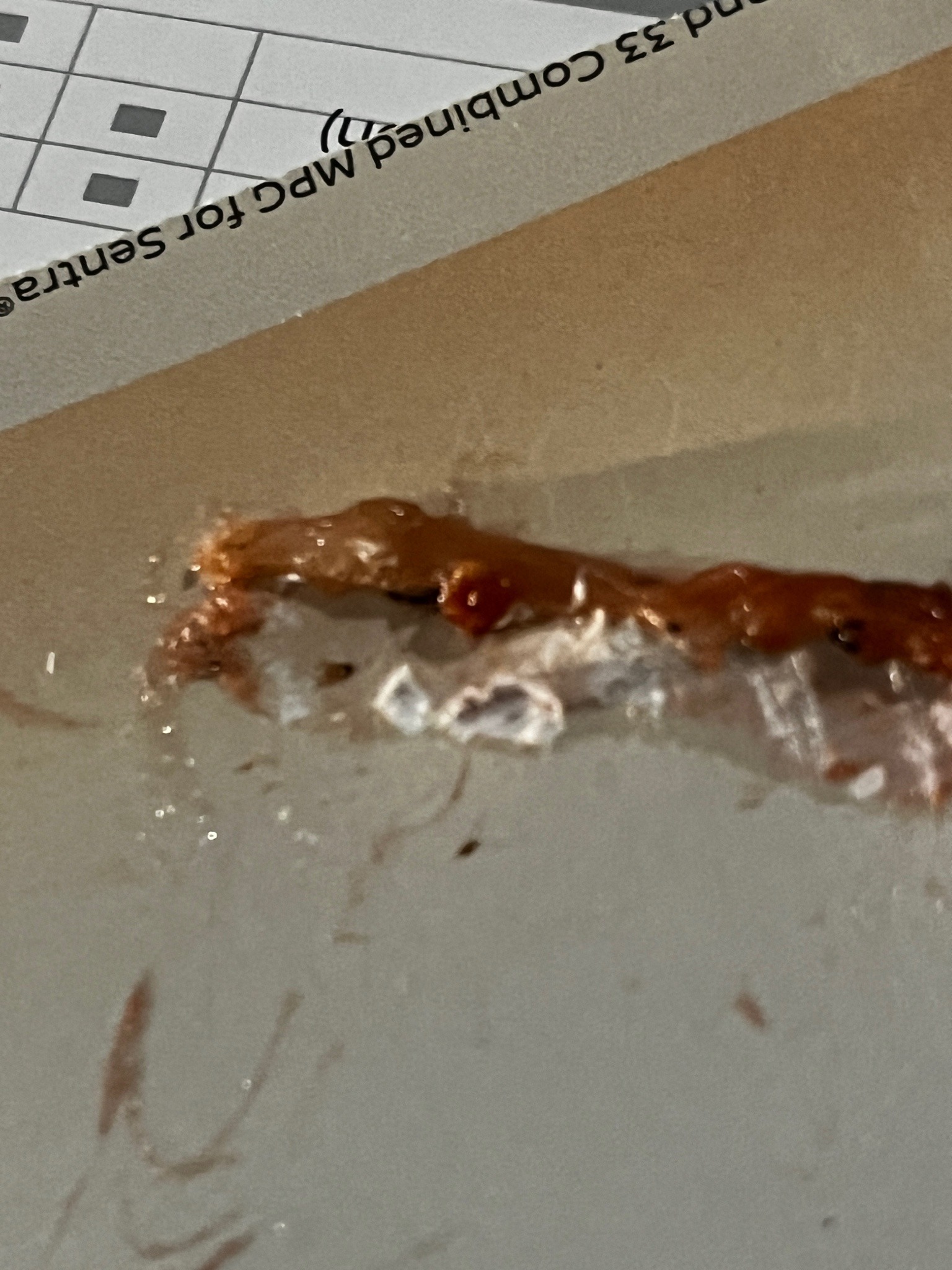 New Guinea Flatworm