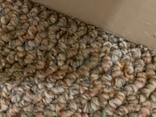 No insect or bug identifiable