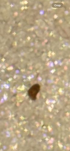 Unidentifiable Object