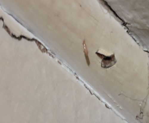 Slug