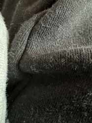 No insect identified