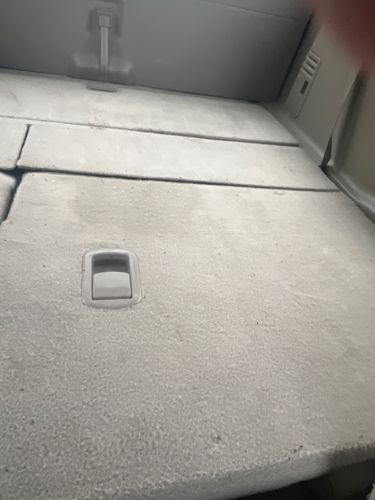 No insect identified