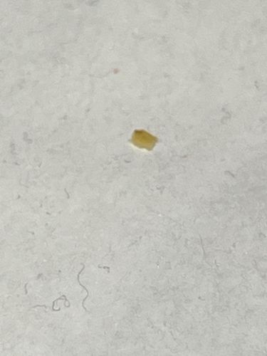 Unidentifiable Particle