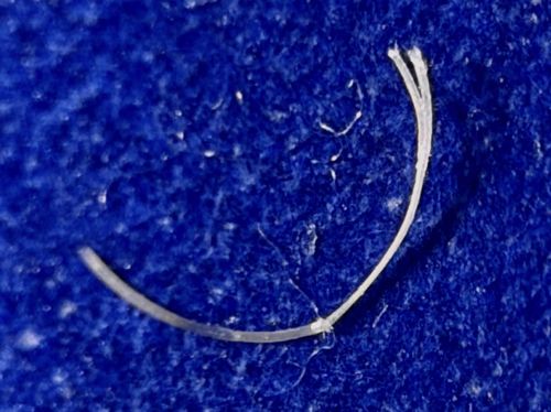 Not a bug/insect (Split End / Trichoptilosis)