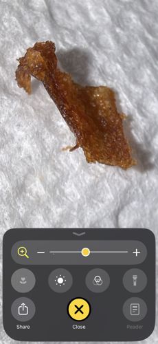 Non-biological matter/Debris