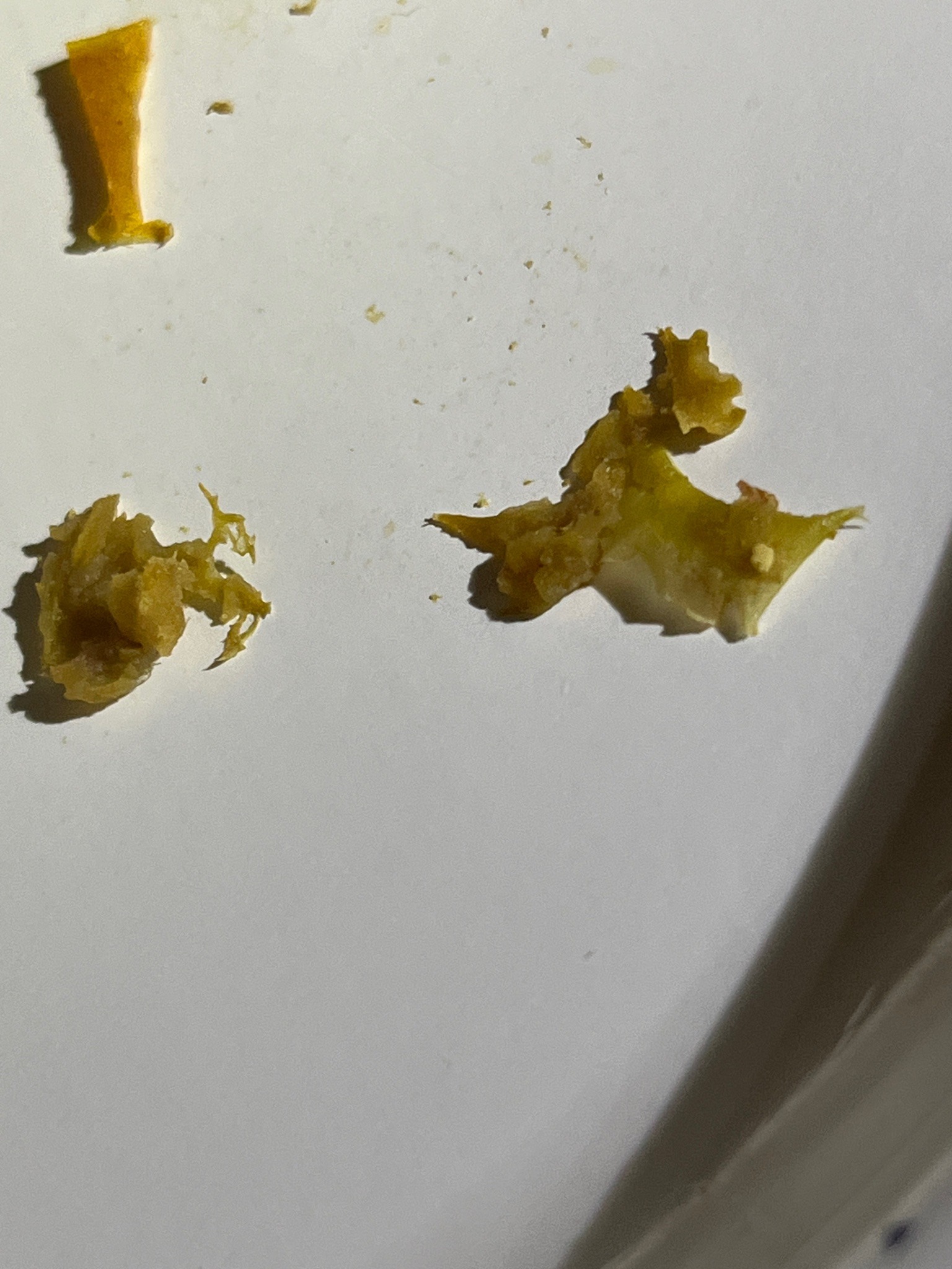 Not an insect (Food Debris)