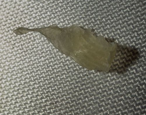 Lacewing Larva / Junk Bug