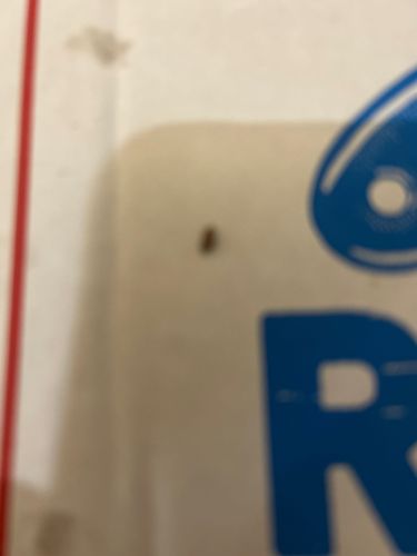 Too blurry to identify