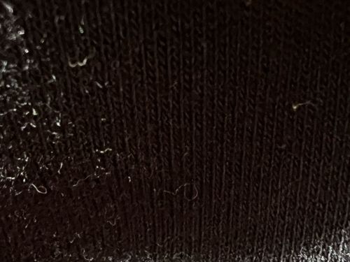 Inconclusive (Likely textile fiber)