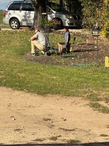 No insect or bug is clearly visible in the image.