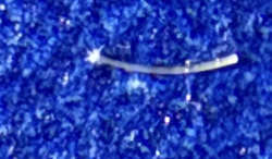 Inchworm