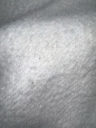 Unidentifiable Specimen