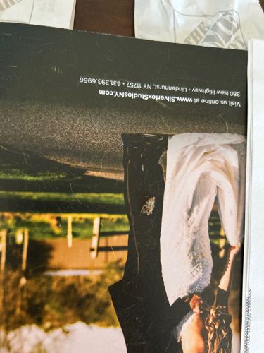 Planthopper (likely a nymph)