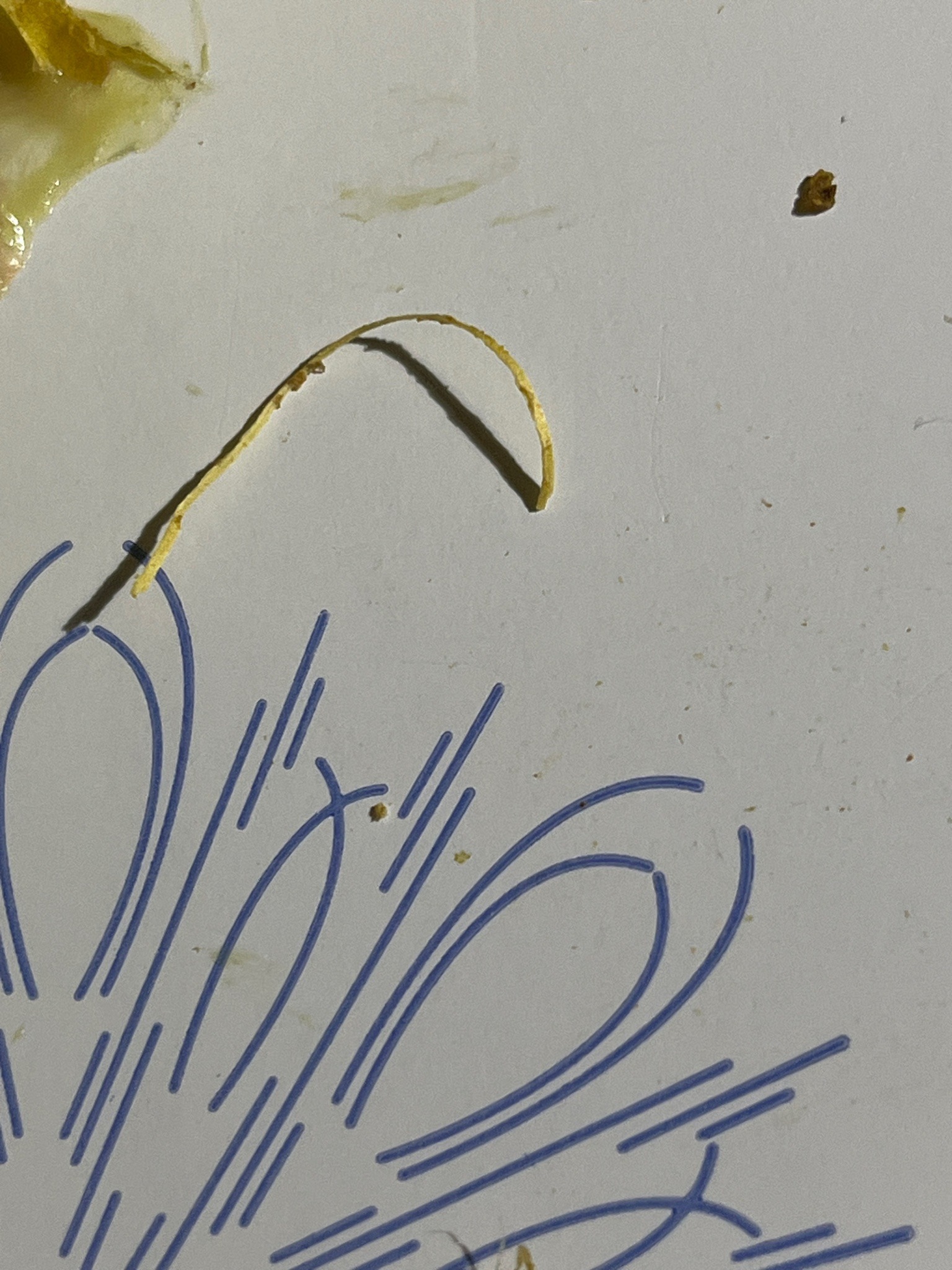 None (Non-living organic material)