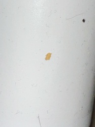 Unidentifiable Particle