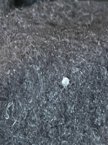 Too difficult to identify