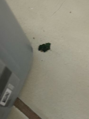 Unidentifiable Object/Debris