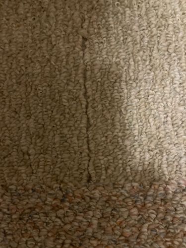 Unidentifiable organism