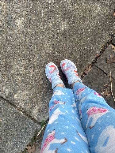 No identifiable insect or bug