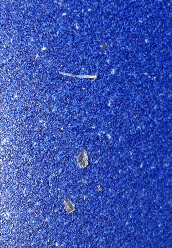 Insignificant debris or lint (Non-insect)